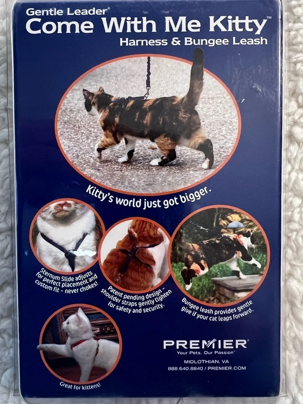 Premier about this